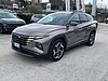 Hyundai TUCSON 1.6 HEV 4wd 230cv Exellence Auto Marrone