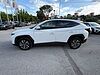 Hyundai TUCSON Hybrid 1.6 HEV 2wd 230cv Xline Auto Bianco