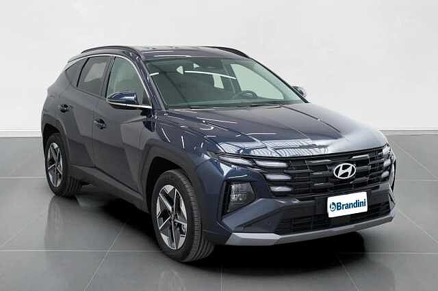 Hyundai TUCSON TUCSON PE 1.6PHEV AT 2WD BUSINESS+(C)