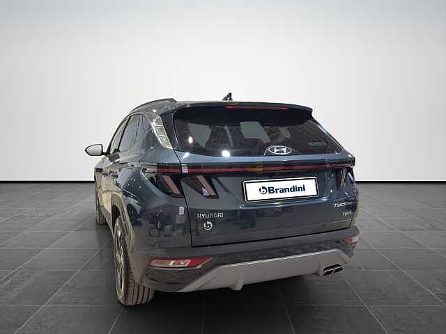 Hyundai TUCSON TUCSON 1.6 hev Exellence 2wd auto
