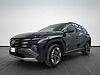 Hyundai TUCSON TUCSON PE 1.6TGDI MT 48V BUSINESS blue