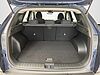 Hyundai TUCSON TUCSON PE 1.6TGDI MT 48V BUSINESS blue