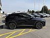 Hyundai TUCSON Hybrid 1.6 HEV 2wd 239cv Dark Line Auto Nero
