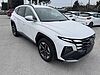 Hyundai TUCSON 1.6 CRDI 48V DCT Business Bianco
