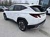 Hyundai TUCSON 1.6 CRDI 48V DCT Business Bianco