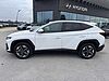 Hyundai TUCSON 1.6 CRDI 48V DCT Business Bianco