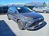 Hyundai Bayon Bayon 1.2 Gpl Xline grey
